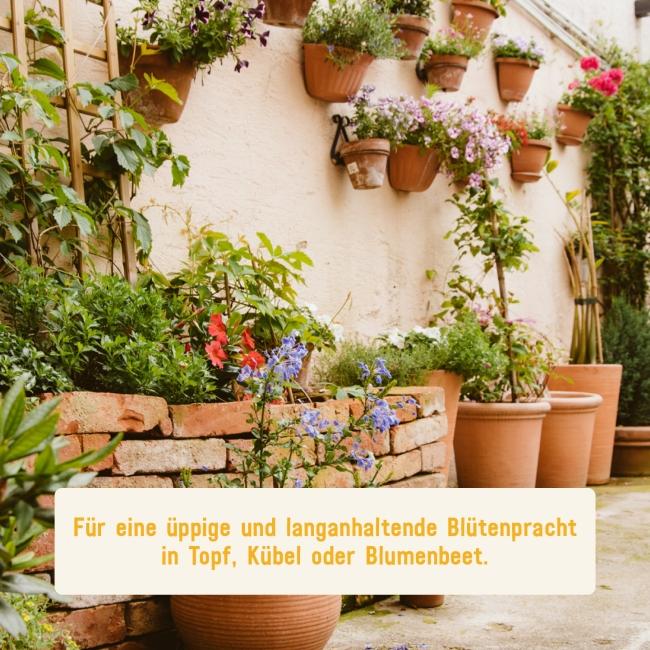 Blumenerde für eine üppige Blumenpracht