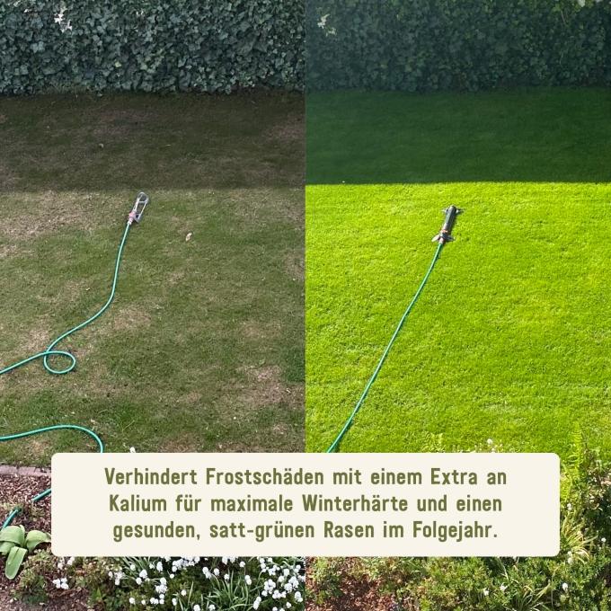 Wirkung Herbstrasendünger von Plantura