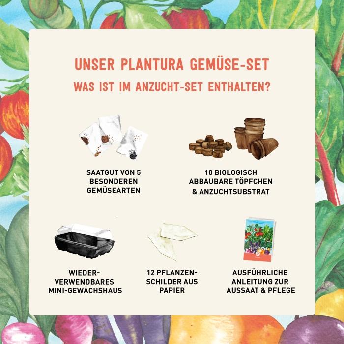 Inhalt des Plantura Gemüse-Sets