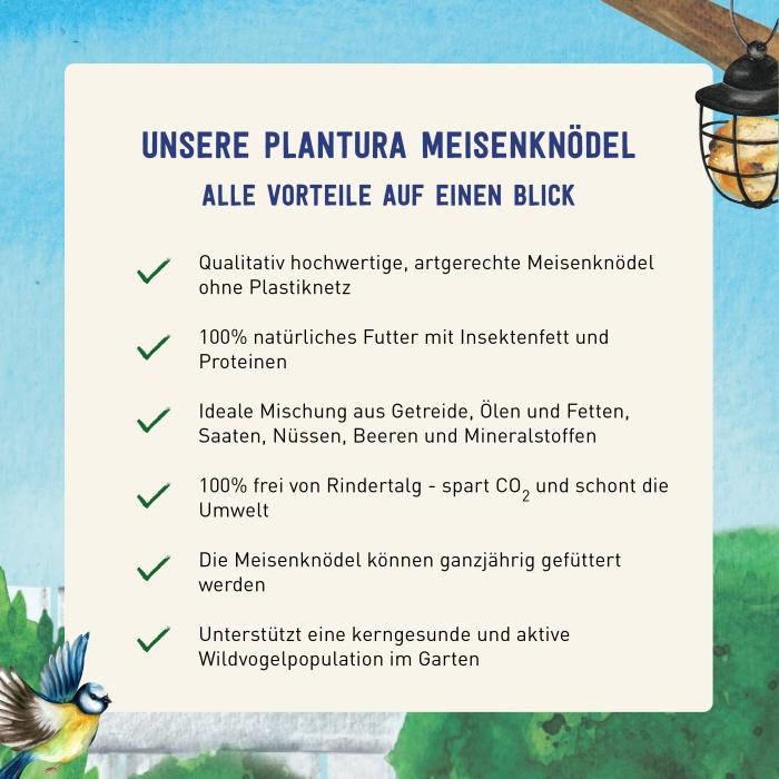 Vorteile der Insekten-Meisenknödel
