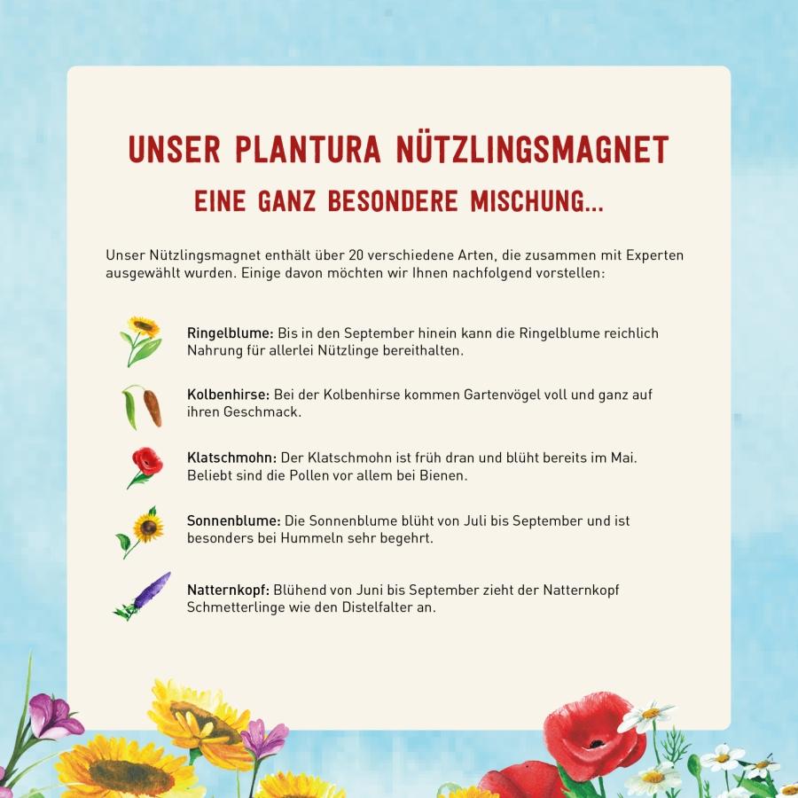 Blumenmischung für Nützlinge von Plantura