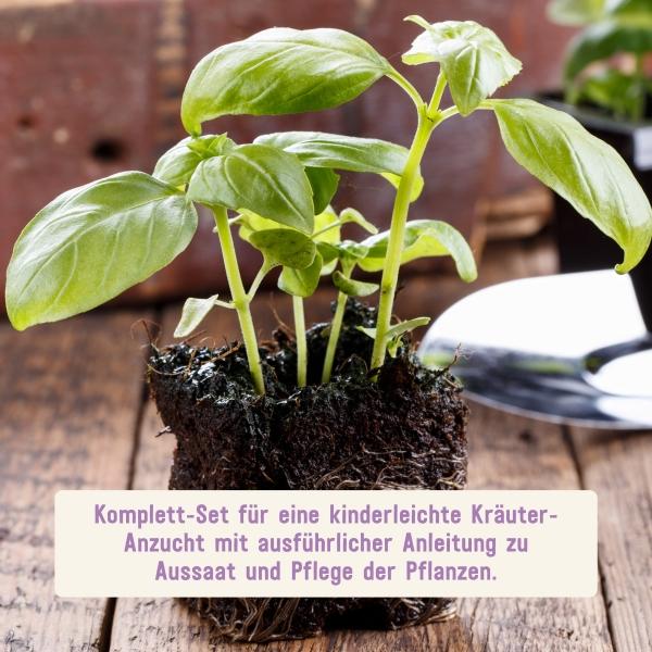 Kräuter anbauen mit Anbau-Set