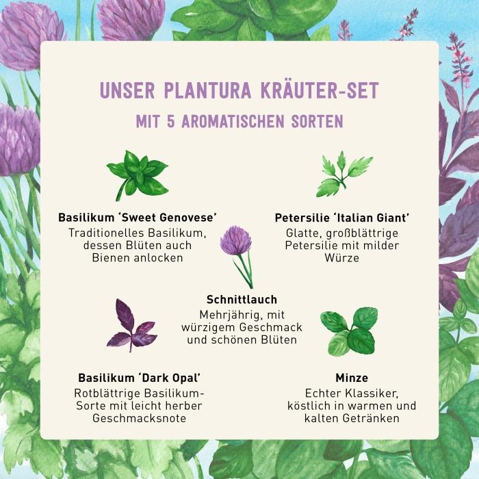 Kräuter-Saatgut-Set