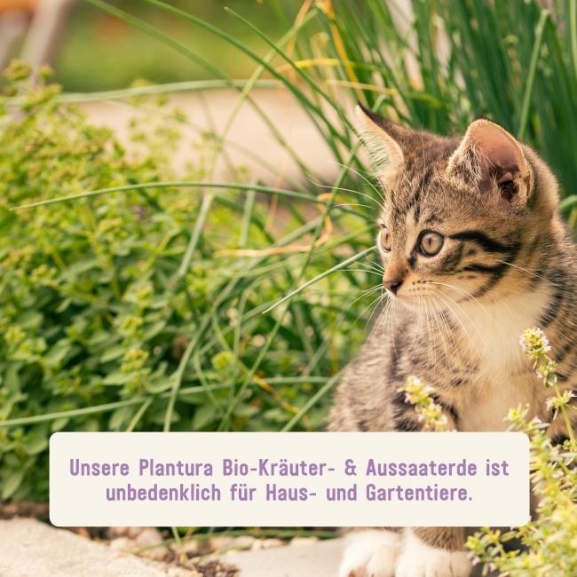 Bio-Kräutererde unbedenklich für Tiere