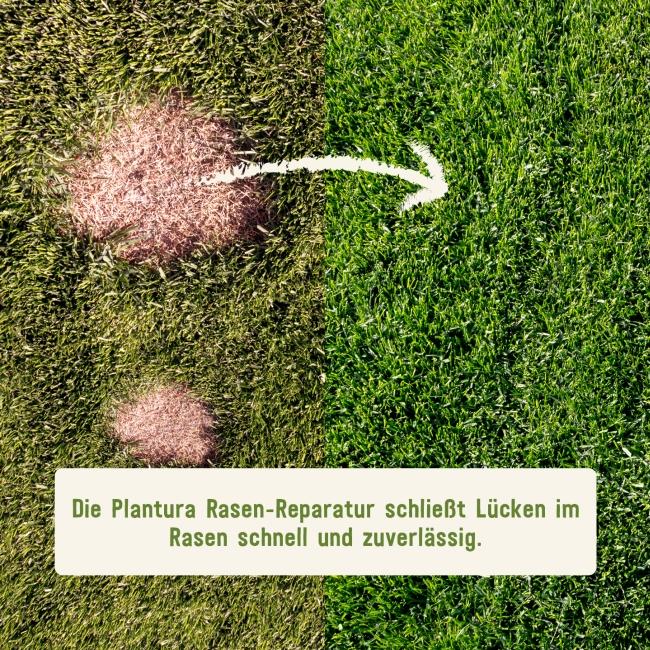 Kahle Stellen im Rasen vor und nach der Rasen-Reparatur
