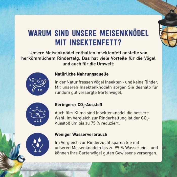 Meisenknödel mit Insektenfett