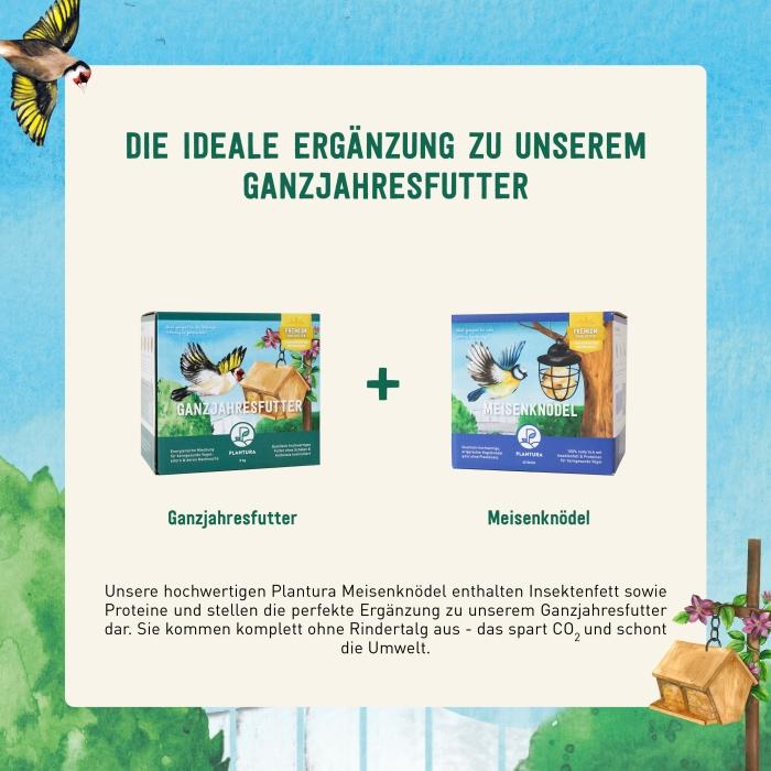 Meisenknödel und Sommervogelfutter kaufen
