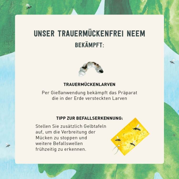 Mittel gegen Trauermücken Larven von Plantura