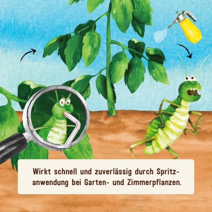 Neem Spritzmittel gegen Blattläuse