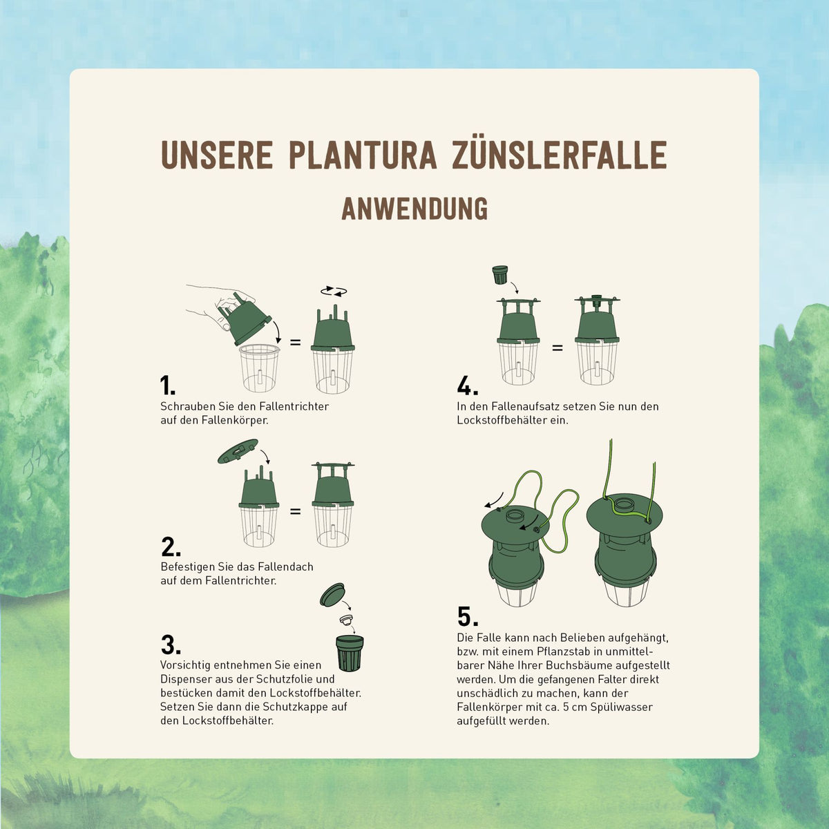 Anwendung Zünslerfalle