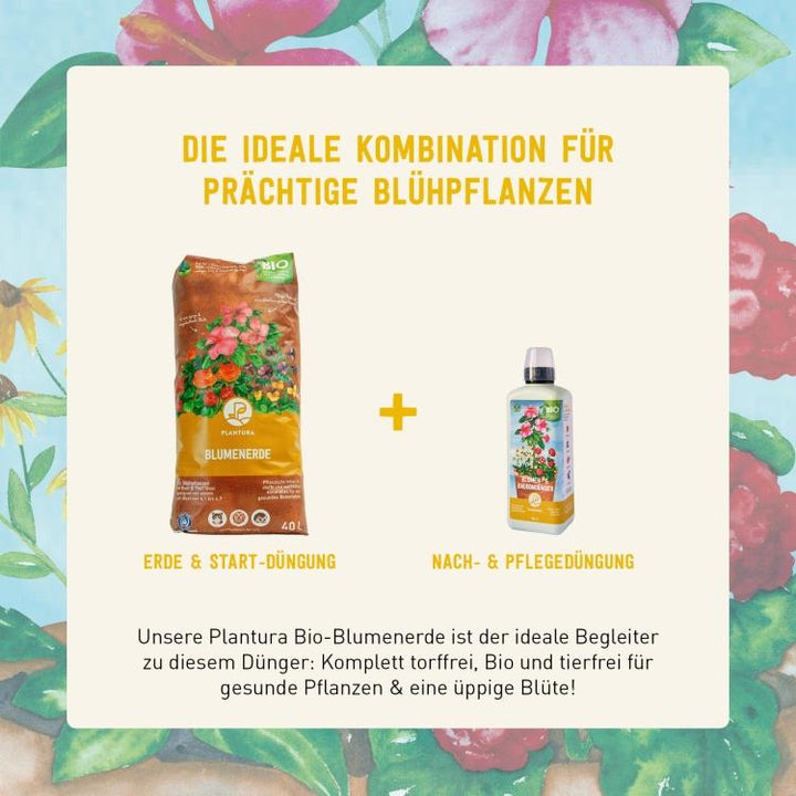 Plantura Bio-flüssiger Blumendünger mit Plantura Blumenerde