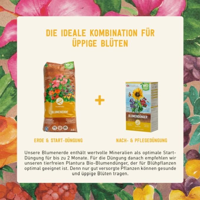 Bio-Blumenerde und Bio-Blumendünger von Plantura