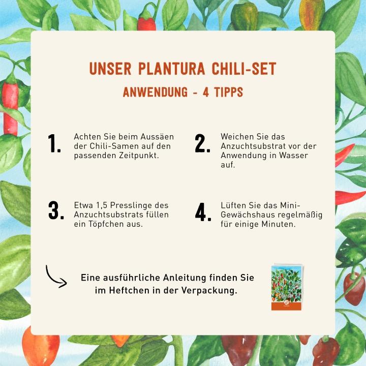 Anwendung des Plantura Chili-Sets