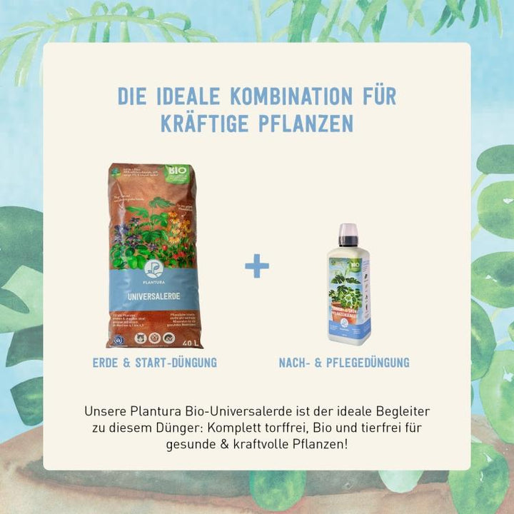 Plantura Grünpflanzendünger mit Plantura Universalerde