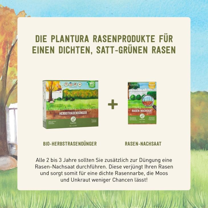 Plantura Bio-Herbstrasendünger mit Plantura Nachsaat