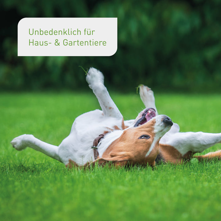 Rasen Rettungs-Set unbedenklich für Haustiere
