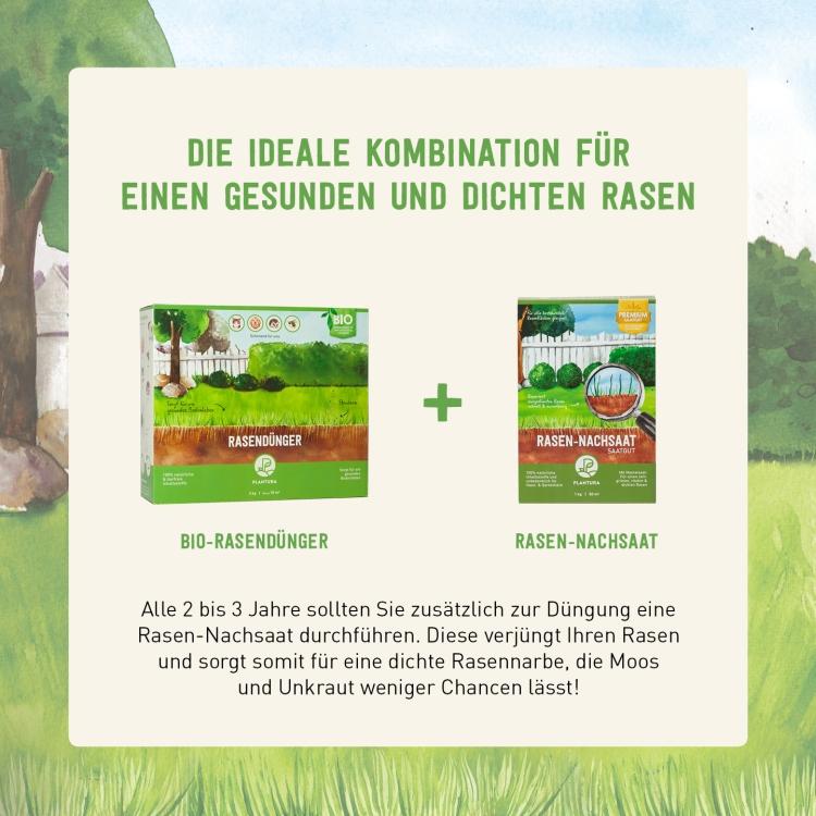 Bio-Rasendünger und Rasen-Nachsaat von Plantura