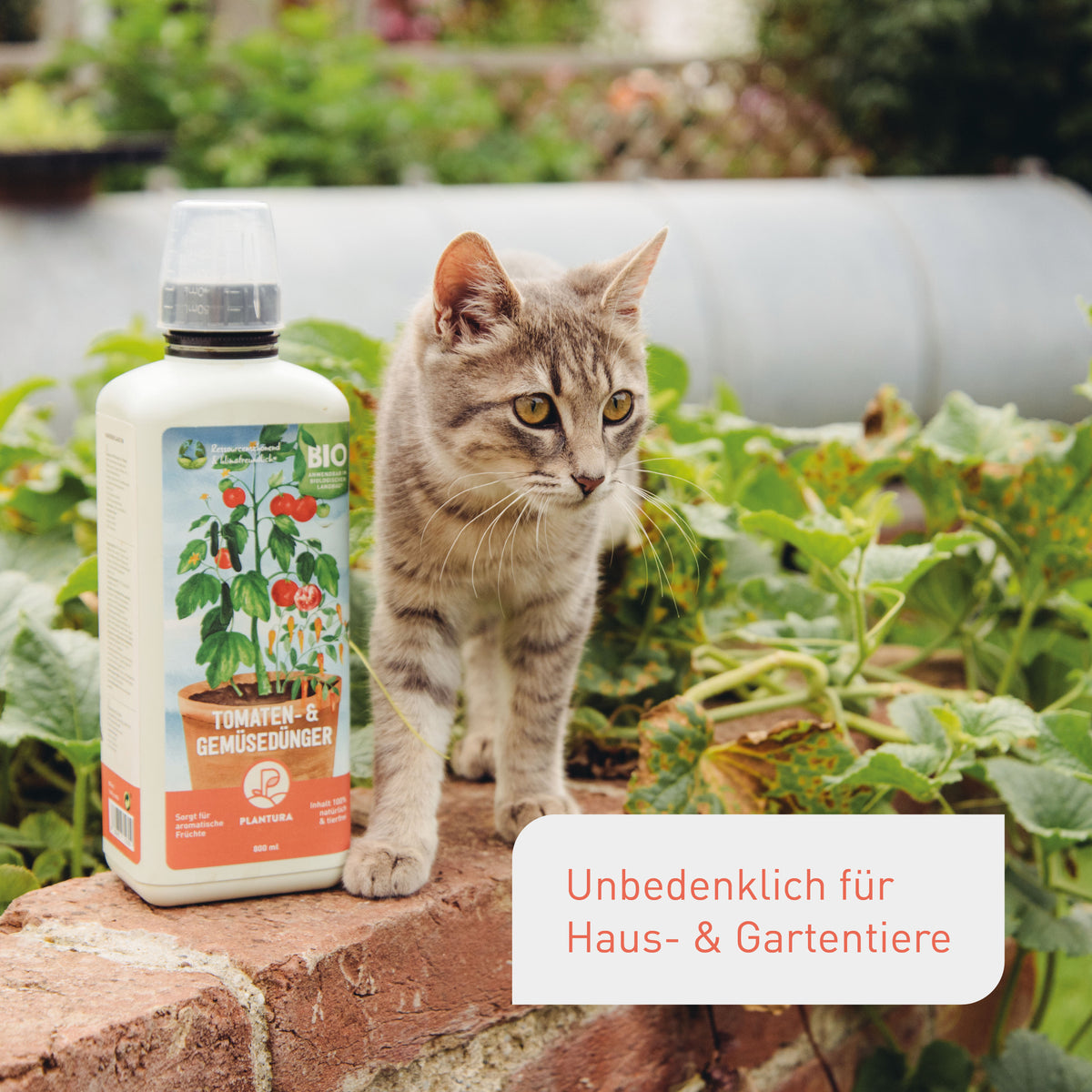 Plantura Bio-Tomaten- & Gemüsedünger unbedenklich