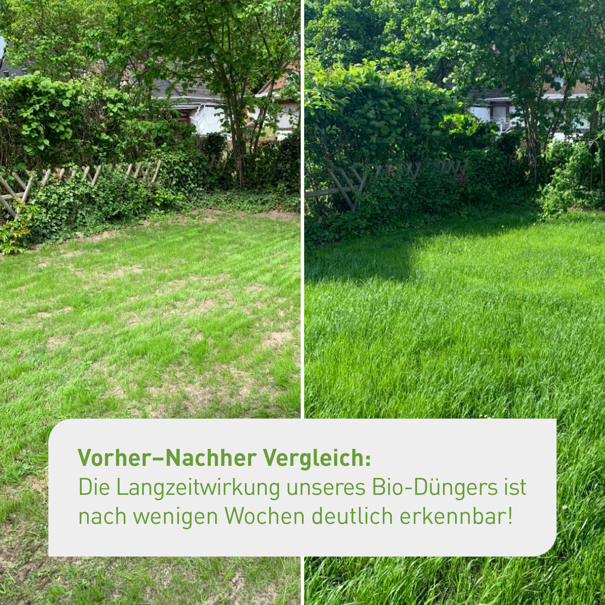 Ergebnis Rasen erneuern
