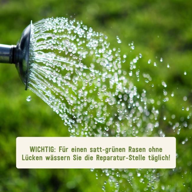 Gießen nach Rasen-Reparatur