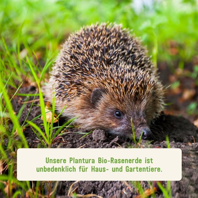 Bio-Rasenerde unbedenklich für Tiere