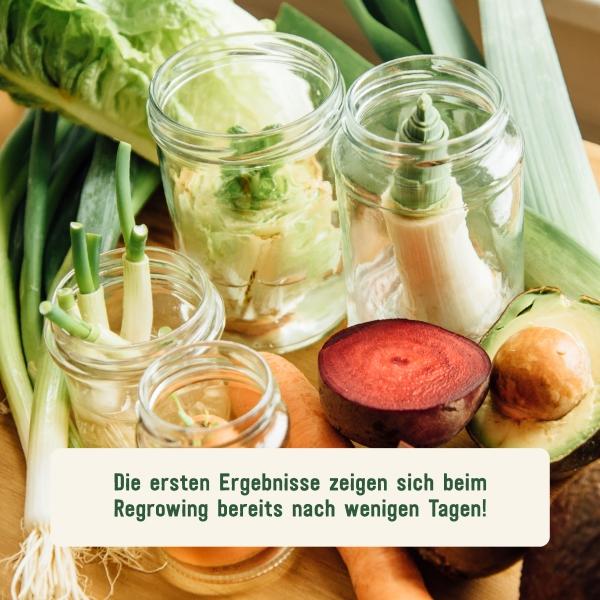 Gemüse nachwachsen lassen