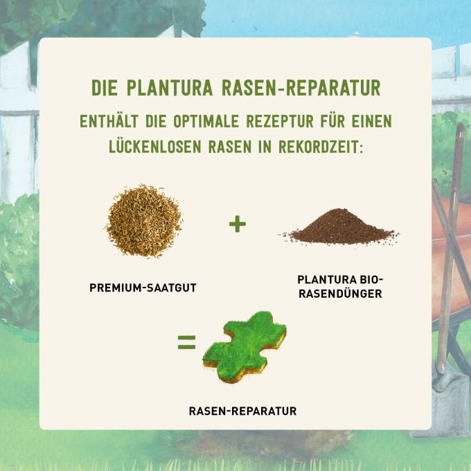 Reparatur Rasensamen von Plantura