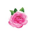 Rosen