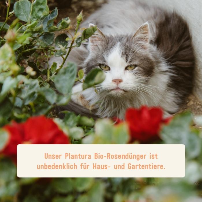 Bio-Rosendünger unbedenlich für Tiere