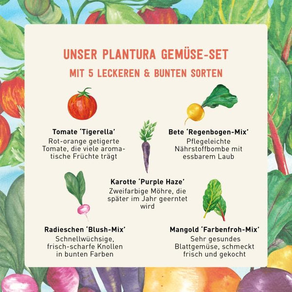 Saatgut im Plantura Gemüse-Set