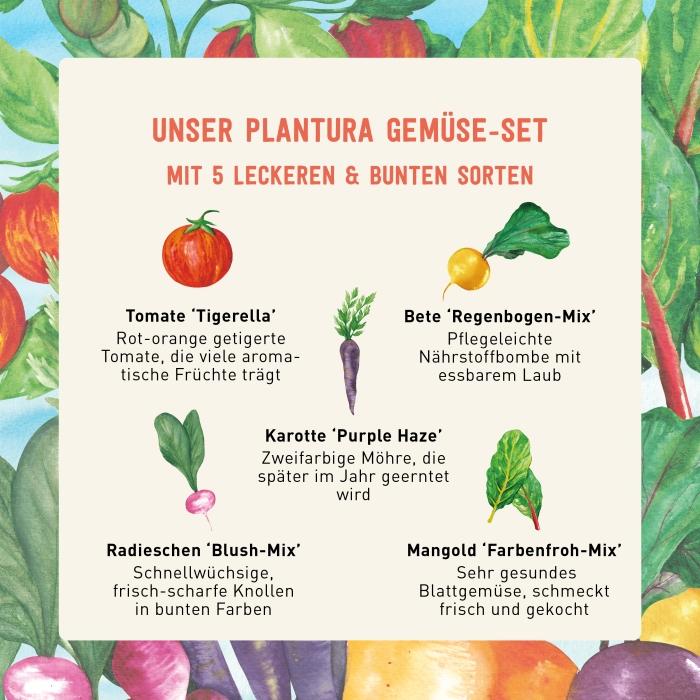 Saatgut im Plantura Gemüse-Set