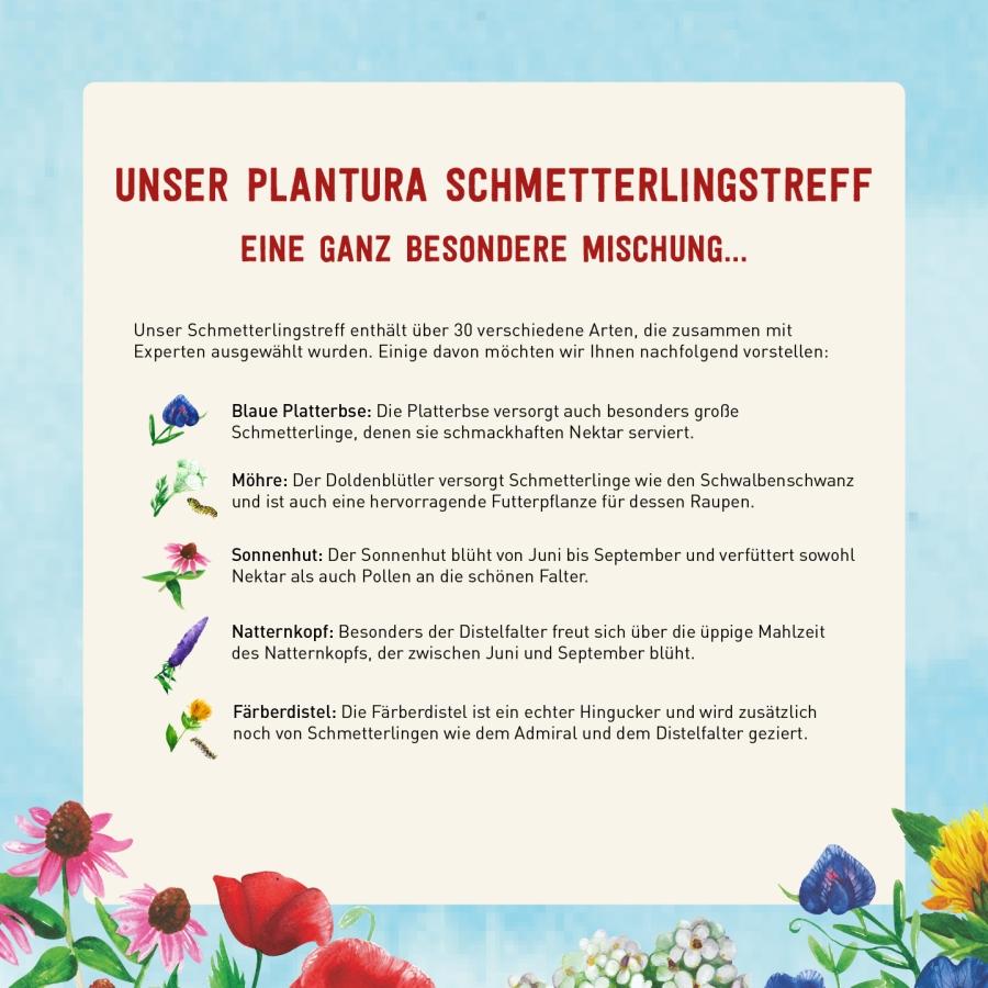 Saatgut für Schmetterlinge im Garten