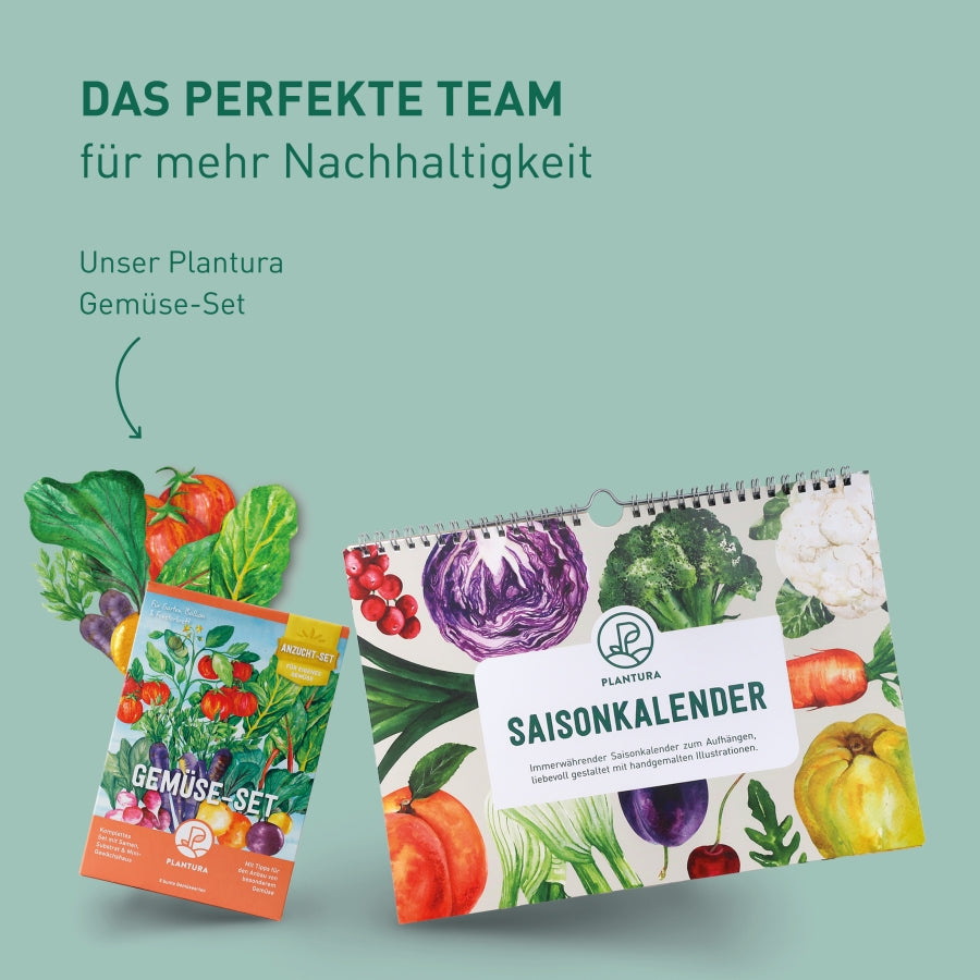 Plantura Saisonkalender und Gemüse-Set