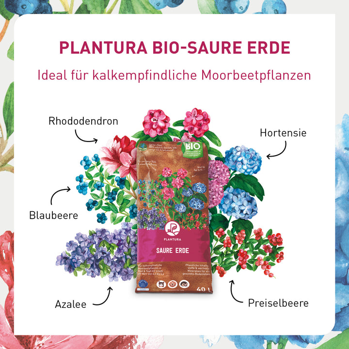 Saure Erde (neu)