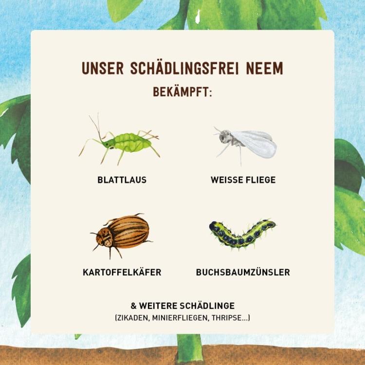 Schädlingsfrei Neem gegen Blattläuse