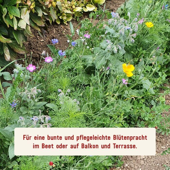 Schmetterlingsweide von Plantura