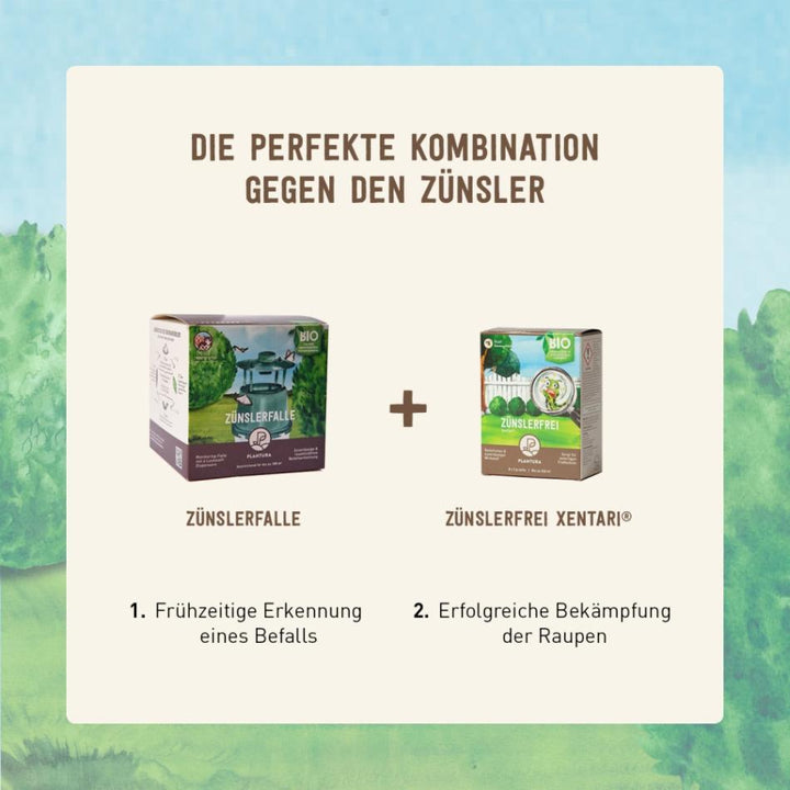 Pheromonfalle für den Buchsbaumzünsler und Xentari