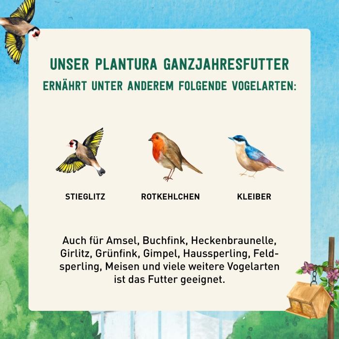 Sommerfutter für verschiedene Vogelarten
