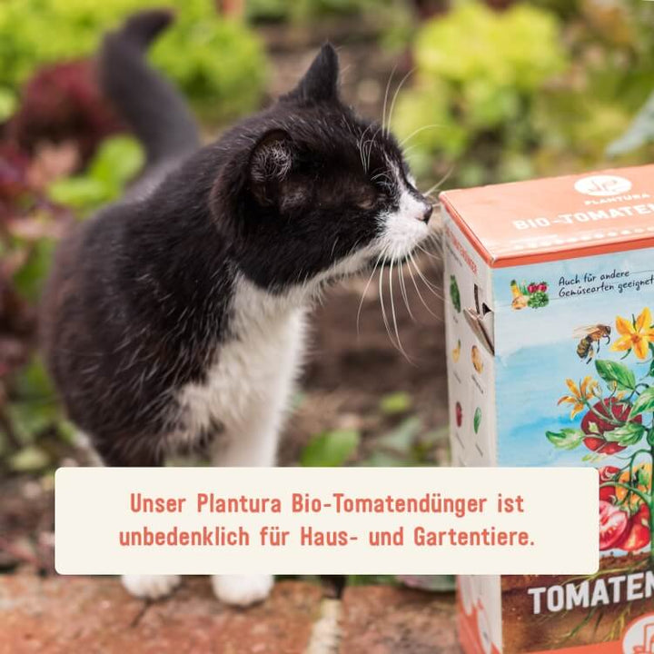 Tomatendünger unbedenklich für Tiere