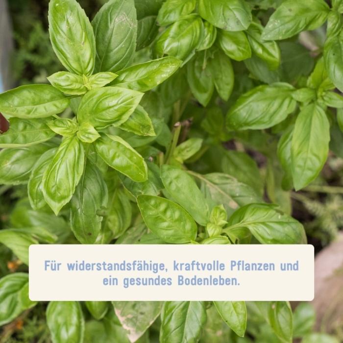 Universaldünger für alle Pflanzen