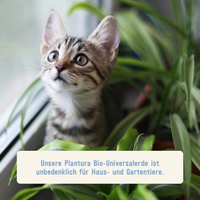 Bio-Universalerde unbedenklich für Tiere