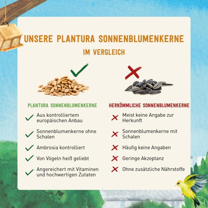 Sonnenblumenkerne als Vogelfutter im Vergleich