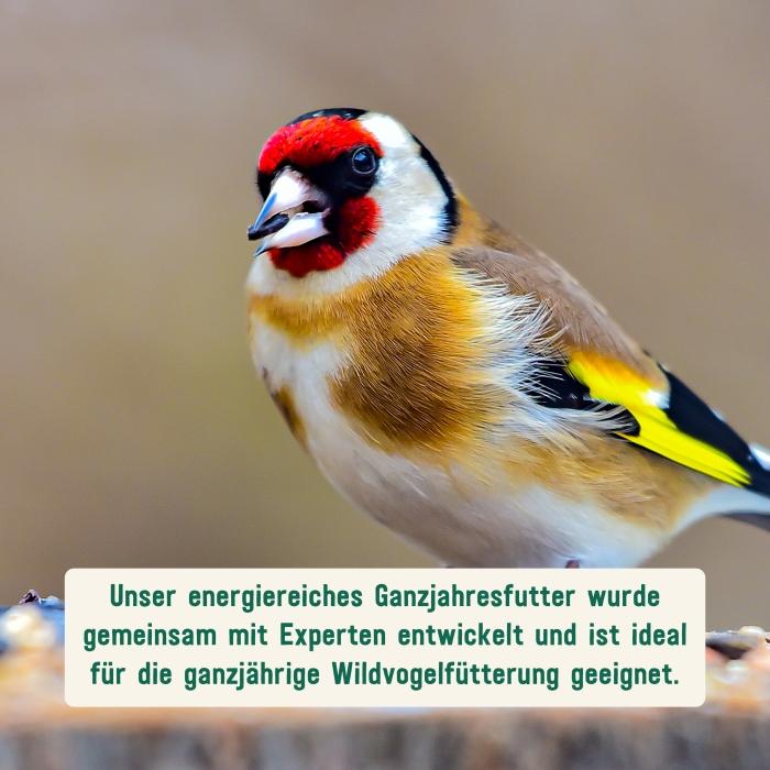 Wildvogelfutter als Ganzjahresfutter geeignet