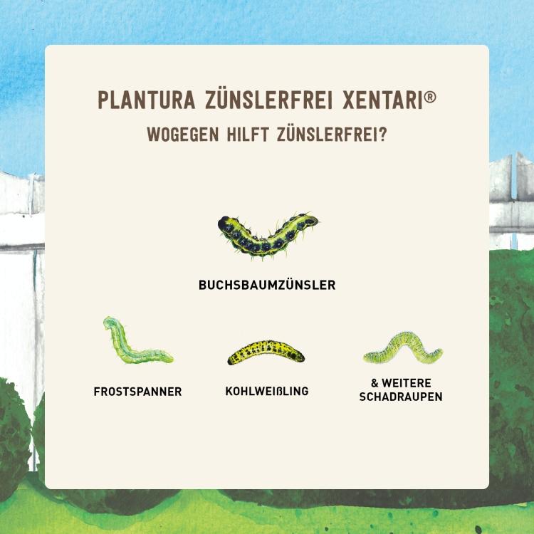 Xentari® hilft gegen verschiedene Schädlinge