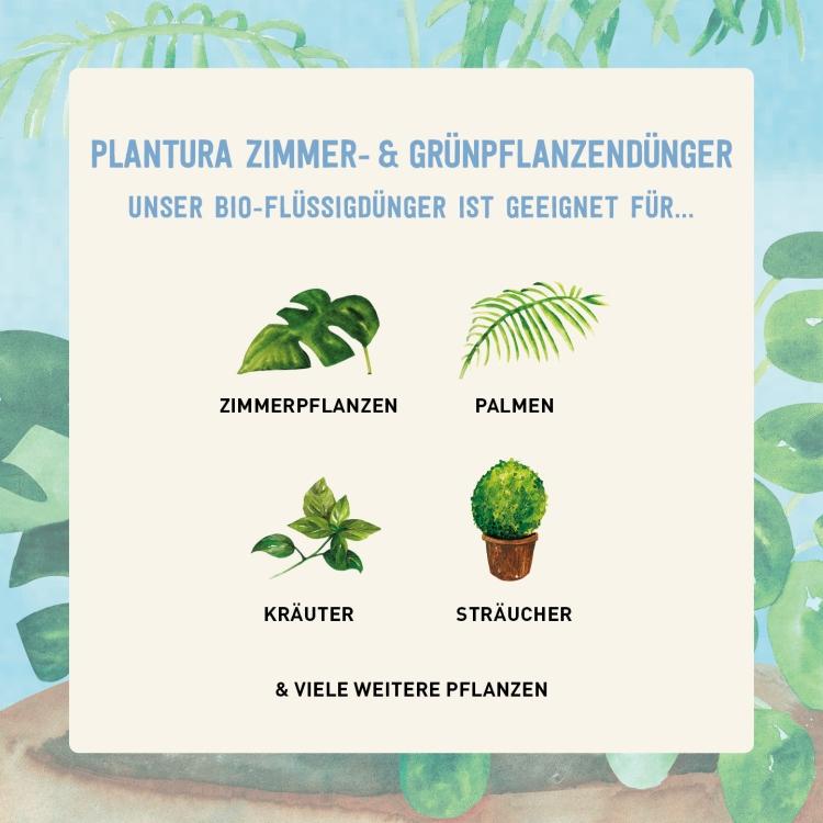 Bio-Dünger für Zimmerpflanzen