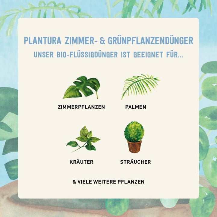 Bio-Dünger für Zimmerpflanzen