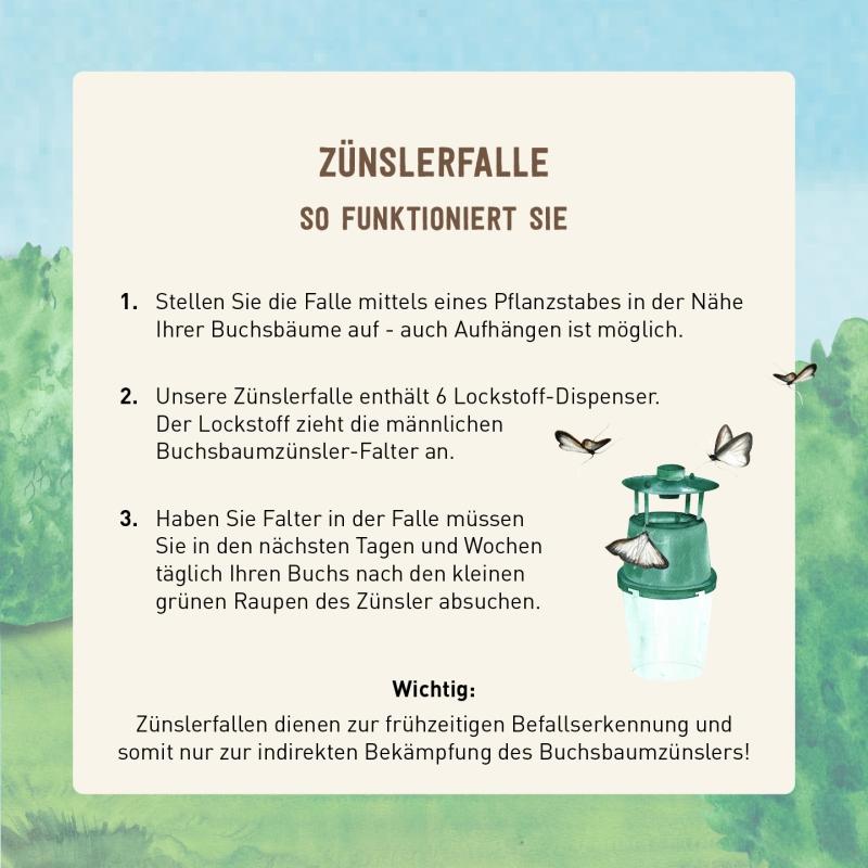 Zünslerfalle mit Pheromone