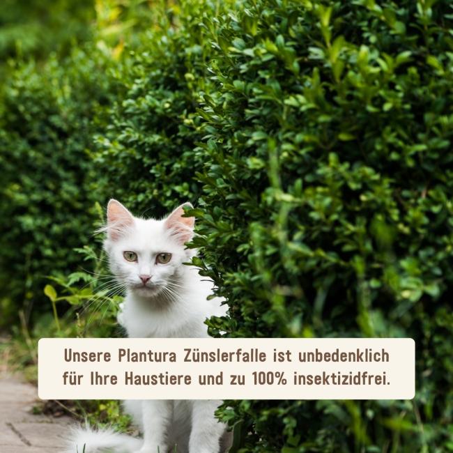 Falle für Buchsbaumzünsler unbedenklich für Haustiere