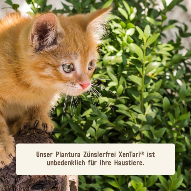 Zünslerfrei Xentari® unbedenklich für Haustiere